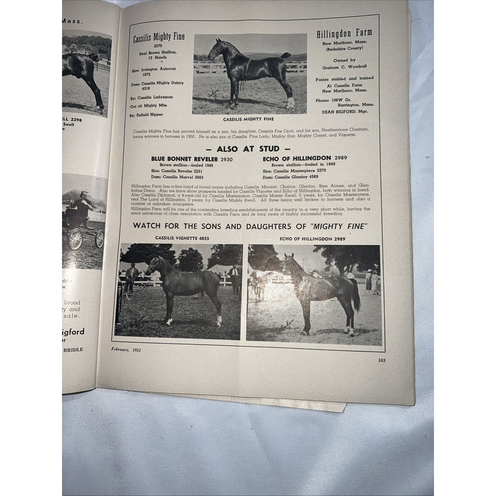 Saddle and Bridle Magazine February 1951 Vol XXIV - Picture 5 of 7